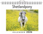 Shetlandpony Shetlandpony
