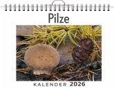 Pilze Pilze