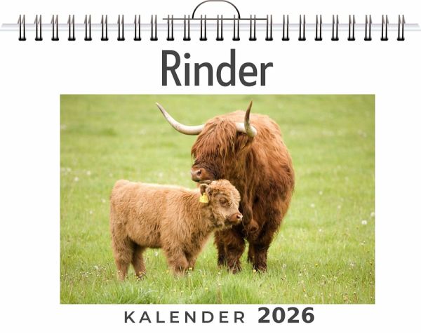 Rinder Rinder