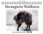 Norwegische Waldkatze