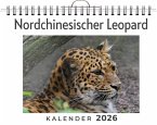 Nordchinesischer Leopard