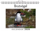 Brutvögel