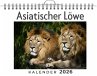 Asiatischer Löwe - Bild 1