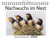 Nachwuchs im Nest