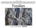 Fossilien Fossilien
