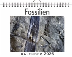 Cover Fossilien
