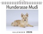 Hunderasse Mudi