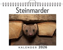 Cover Steinmarder