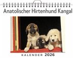 Anatolischer Hirtenhund Kangal