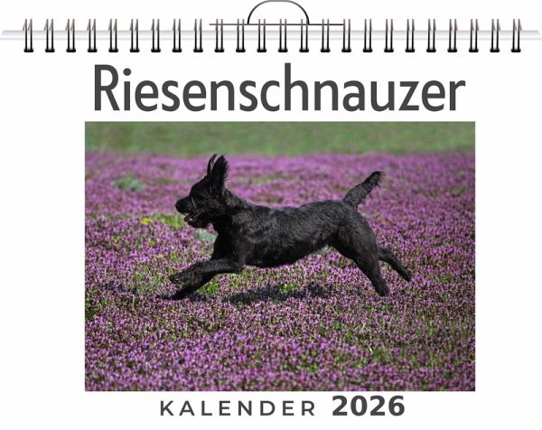 Riesenschnauzer Riesenschnauzer