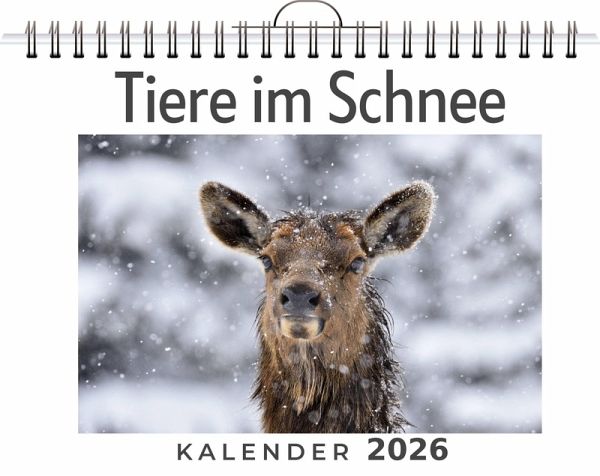 Tiere im Schnee Tiere im Schnee