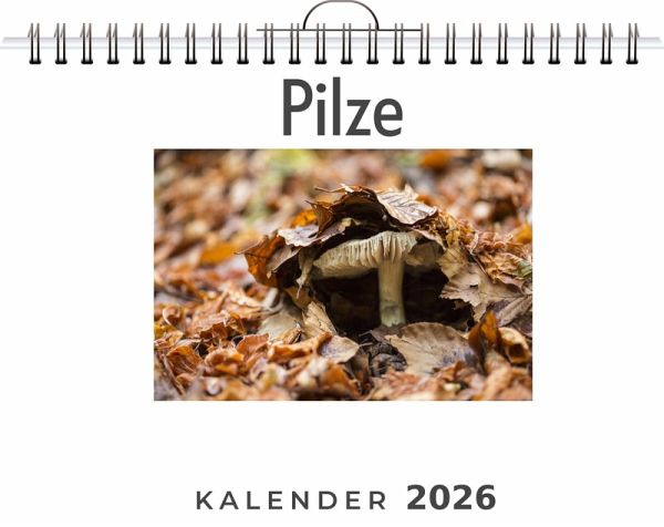Pilze Pilze