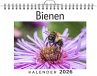Bienen - Bild 1
