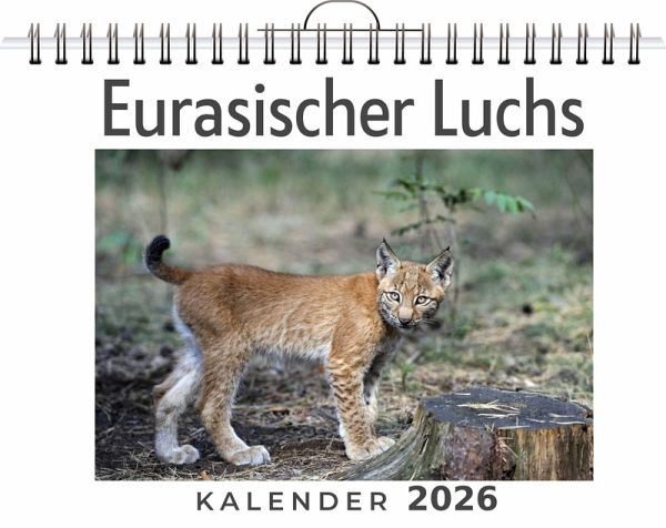 Eurasischer Luchs