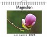 Magnolien - Bild 1