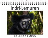Indri-Lemuren