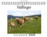 Haflinger - Bild 1