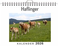 Cover Haflinger
