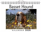 Basset Hound Basset Hound