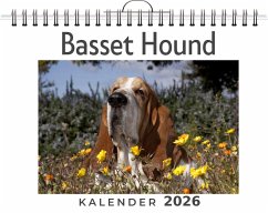 Cover Basset Hound