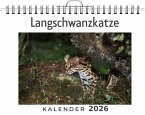 Langschwanzkatze Langschwanzkatze