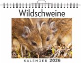 Wildschweine