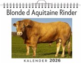Blonde d Aquitaine Rinder Blonde d Aquitaine Rinder
