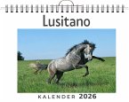 Lusitano