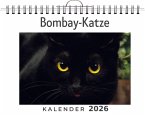 Bombay-Katze