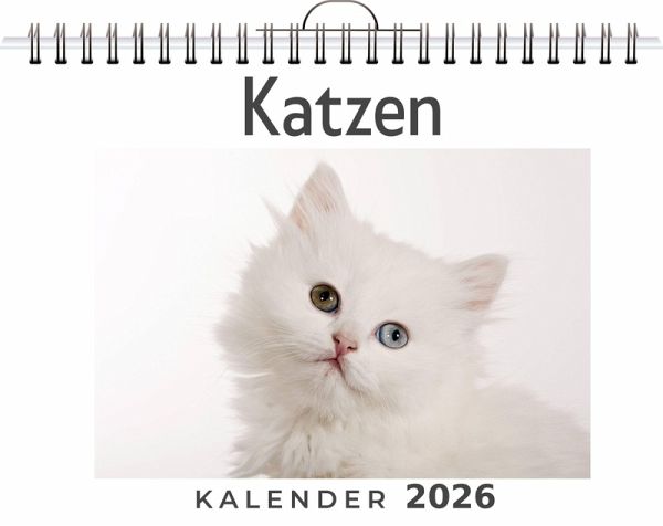 Katzen Katzen