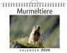 Murmeltiere - Bild 1