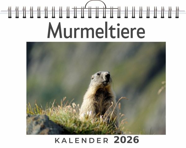 Murmeltiere