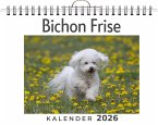 Bichon Frise