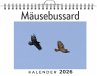Mäusebussard - Bild 1