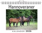 Hannoveraner Hannoveraner
