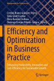 Efficiency and Optimization in Business Practice (eBook, PDF)
