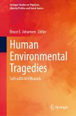 Human Environmental Tragedies (eBook, PDF)