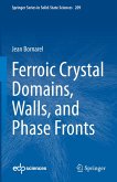 Ferroic Crystal Domains, Walls, and Phase Fronts (eBook, PDF) Ferroic Crystal Domains, Walls, and Phase Fronts (eBook, PDF)