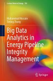 Big Data Analytics in Energy Pipeline Integrity Management (eBook, PDF)