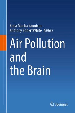 Cover Air Pollution and the Brain (eBook, PDF)