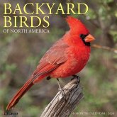 Backyard Birds 2026 12 X 12 Wall Calendar Backyard Birds 2026 12 X 12 Wall Calendar