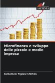 Microfinanza e sviluppo delle piccole e medie imprese Microfinanza e sviluppo delle piccole e medie imprese