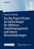 Das Big Project Picture als Gamechanger für effektives Projektmanagement und interne Herausforderungen Das Big Project Picture als Gamechanger für effektives Projektmanagement und interne Herausforderungen