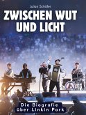 Zwischen Wut und Licht Zwischen Wut und Licht