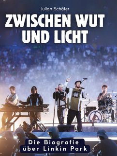 Zwischen Wut und Licht - Schäfer, Julian