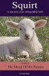 Squirt - Bild 1