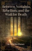 Between Longing, Rebellion, and Waiting for Death (eBook, ePUB)