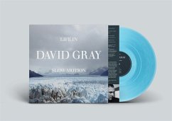 Life In Slow Motion -20th Anniversary Edition- (Co - Gray,David