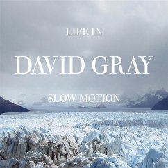 Life In Slow Motion -20th Anniversary Edition- - Gray,David Life In Slow Motion -20th Anniversary Edition- - Gray,David