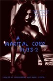 A Marital Coup... Plus-2 (eBook, ePUB) A Marital Coup... Plus-2 (eBook, ePUB)